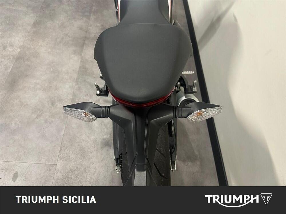 Ducati Monster 797 Plus (2019) (10)