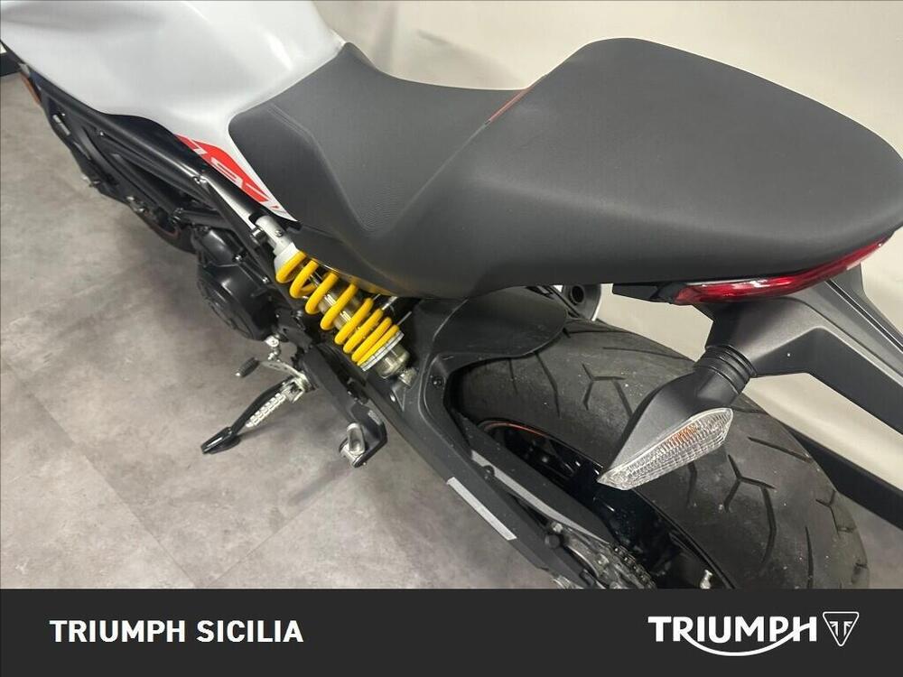 Ducati Monster 797 Plus (2019) (12)