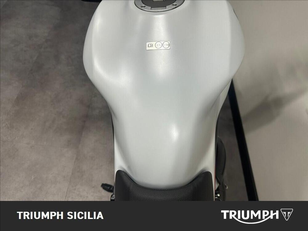 Ducati Monster 797 Plus (2019) (14)