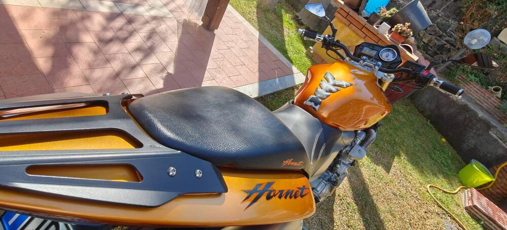 Honda Hornet 600 (2005 - 06) (5)