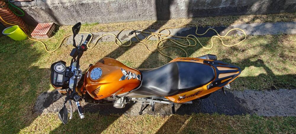 Honda Hornet 600 (2005 - 06) (7)