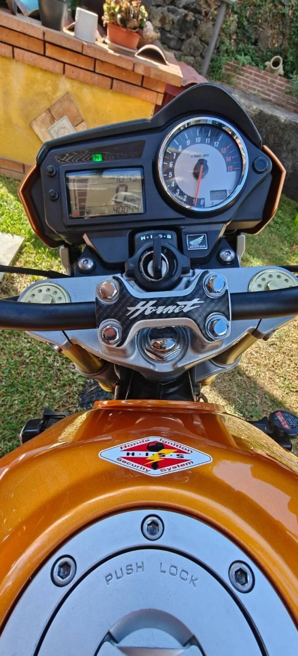 Honda Hornet 600 (2005 - 06) (10)