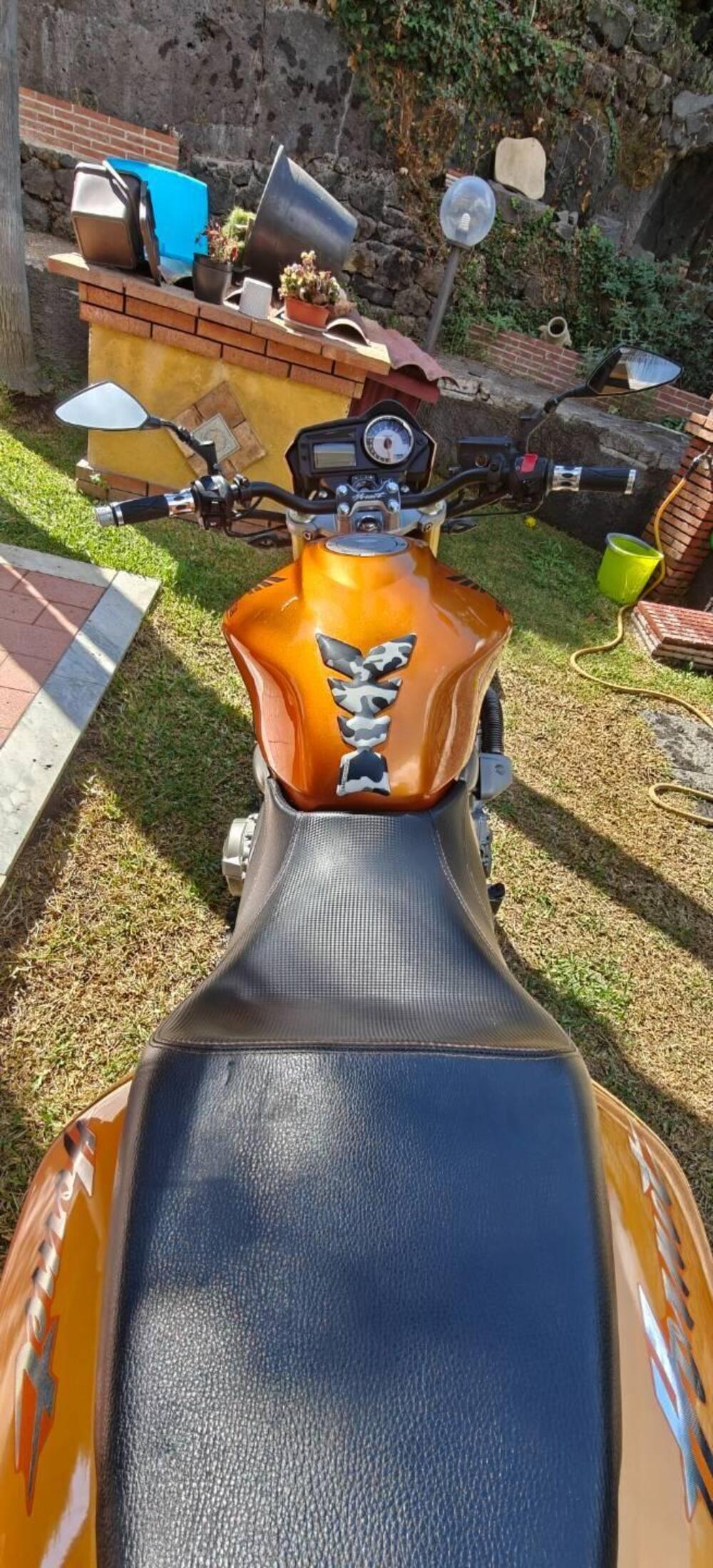 Honda Hornet 600 (2005 - 06) (11)