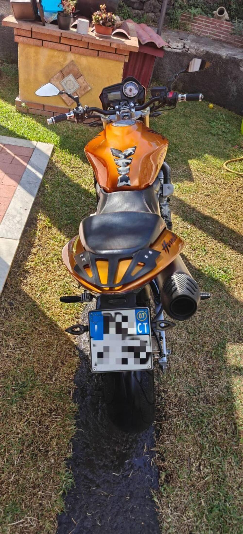 Honda Hornet 600 (2005 - 06) (12)