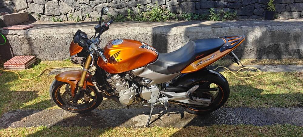 Honda Hornet 600 (2005 - 06)