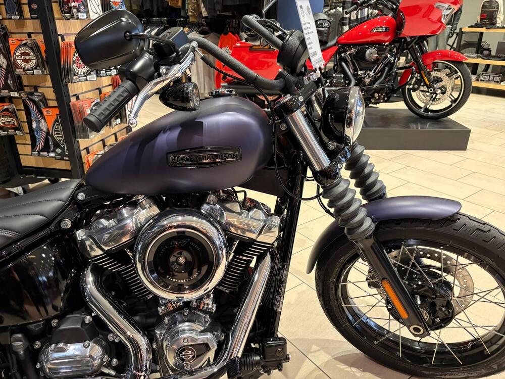 Harley-Davidson Street Bob 117 (2025 - 26) (2)