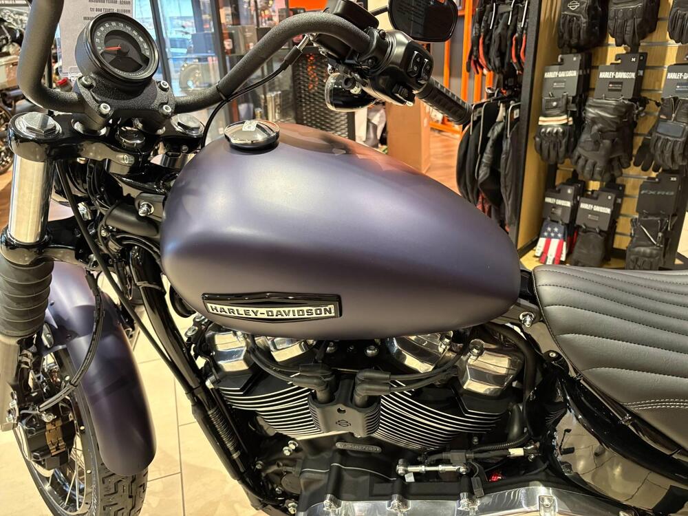 Harley-Davidson Street Bob 117 (2025 - 26) (5)