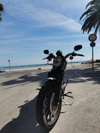 Harley-Davidson 883 Iron (2009 - 11) - XL 883N usata