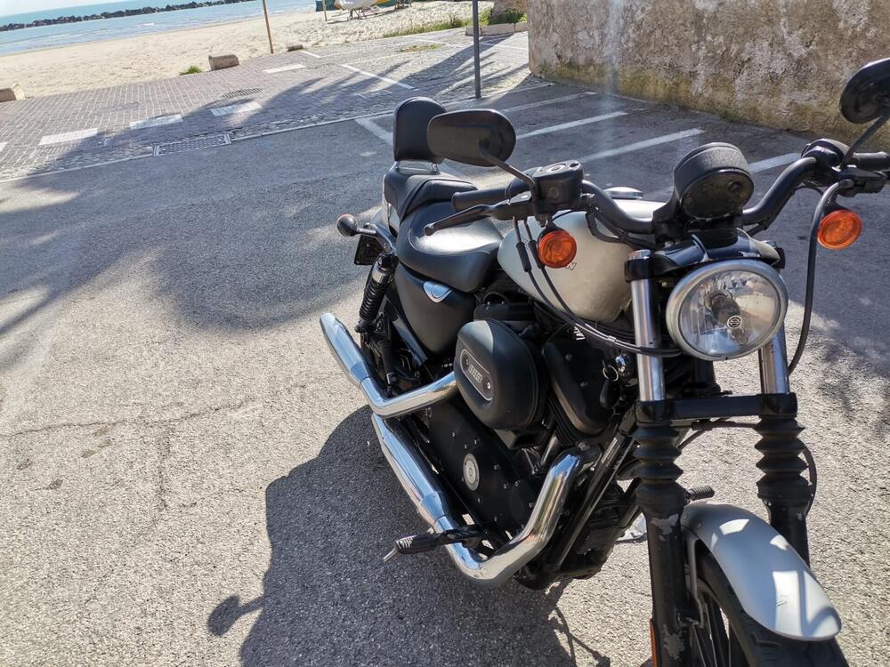 Harley-Davidson 883 Iron (2009 - 11) - XL 883N (2)