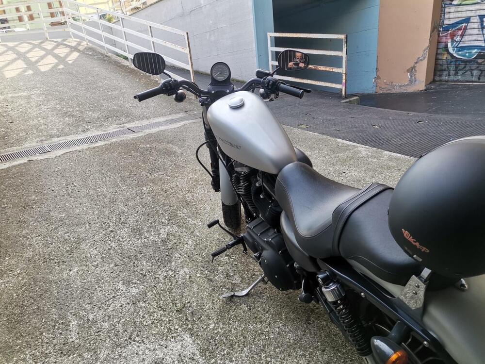 Harley-Davidson 883 Iron (2009 - 11) - XL 883N (8)