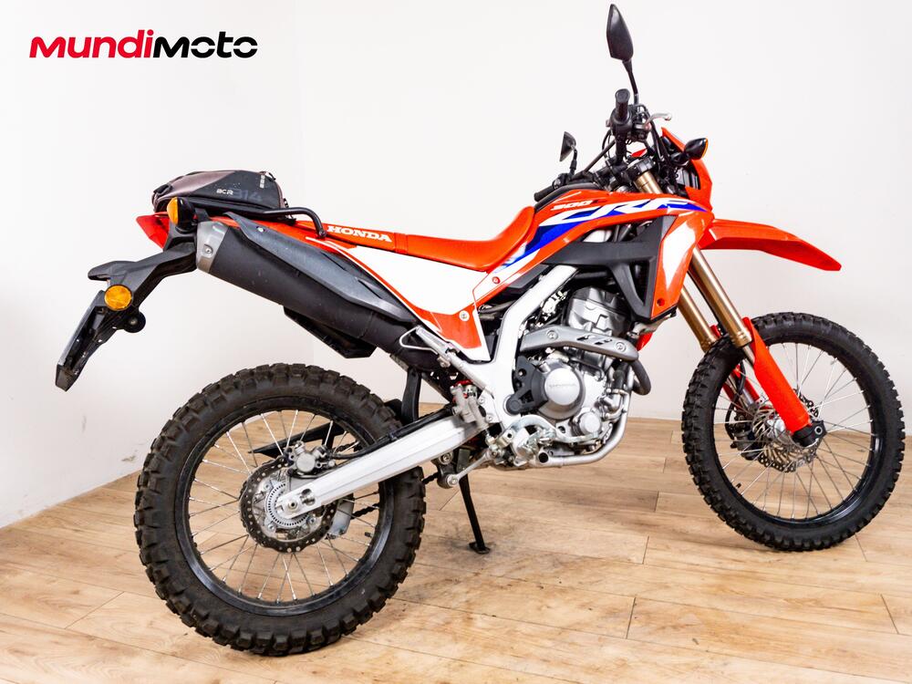 Honda CRF 300 Rally (2021 - 24) (3)