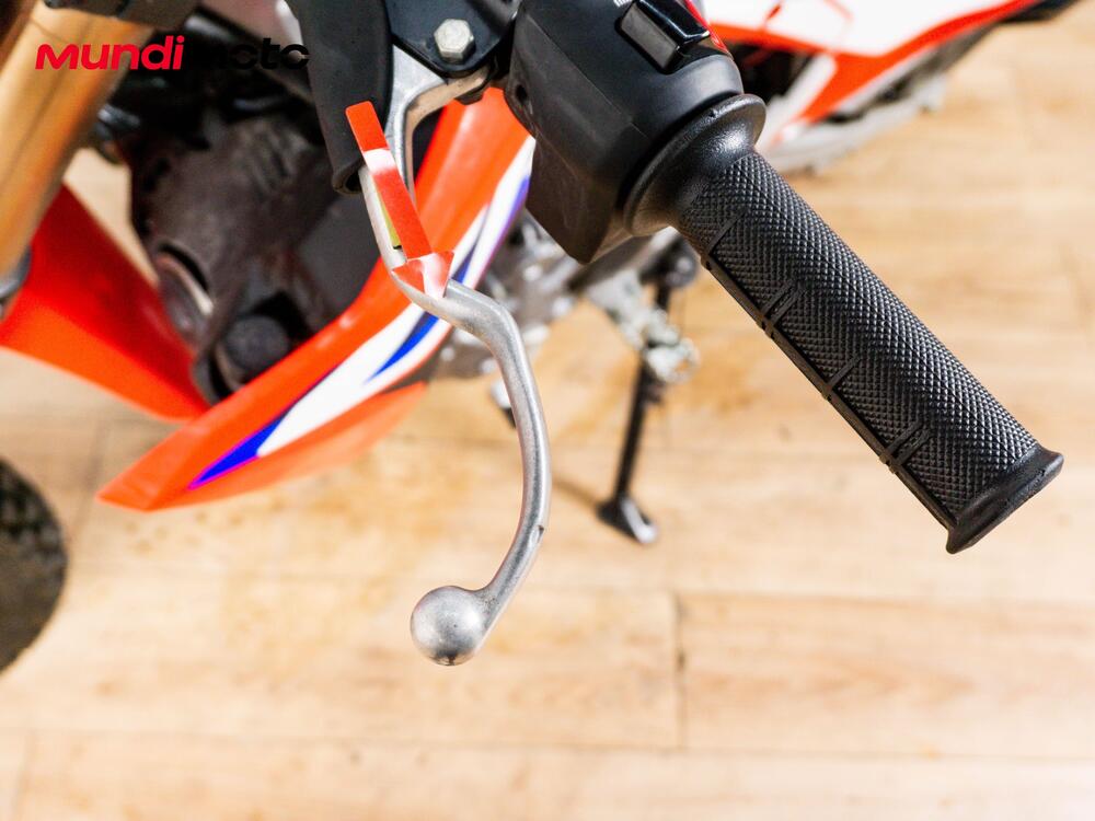 Honda CRF 300 Rally (2021 - 24) (13)