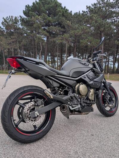 Yamaha XJ6 (2008 - 15) usata