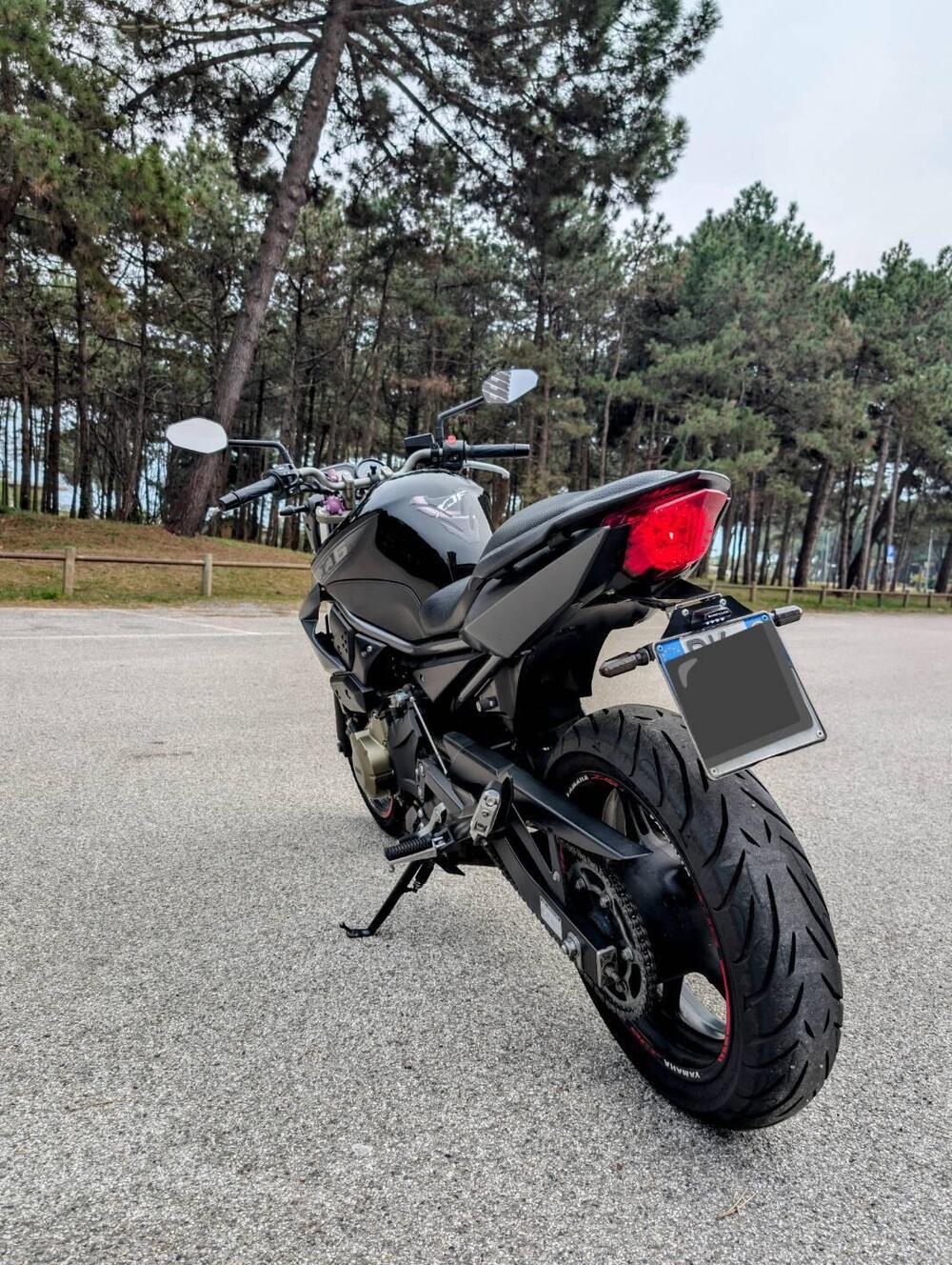 Yamaha XJ6 (2008 - 15) (5)