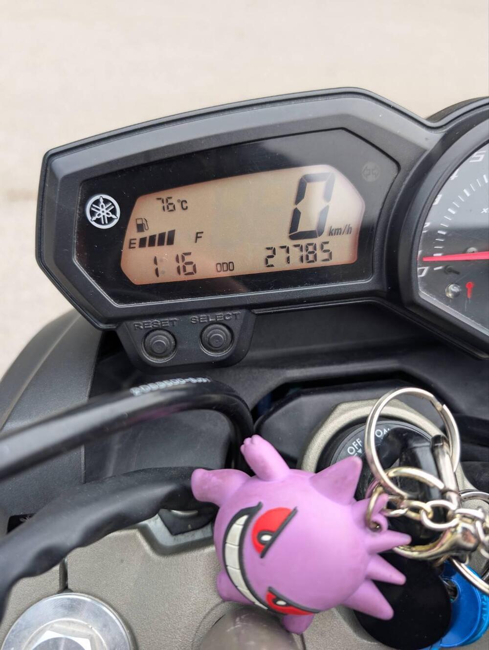 Yamaha XJ6 (2008 - 15) (7)