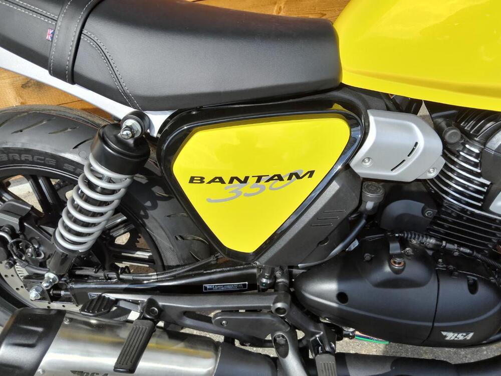 Bsa Bantam 350 (2025 - 26) (9)