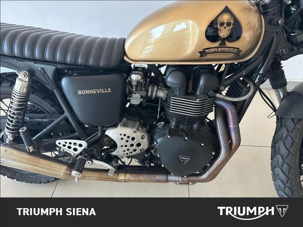 Triumph Bonneville 800 (2000 - 01) (6)