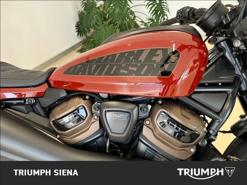 Harley-Davidson Sportster S (2022 - 24) (21)