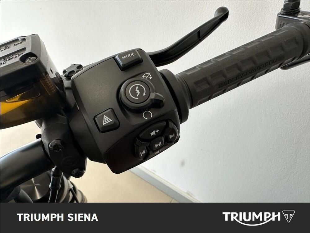 Harley-Davidson Sportster S (2022 - 24) (19)