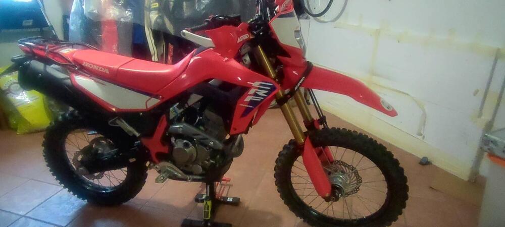 Honda CRF 300L (2025 - 26) (2)