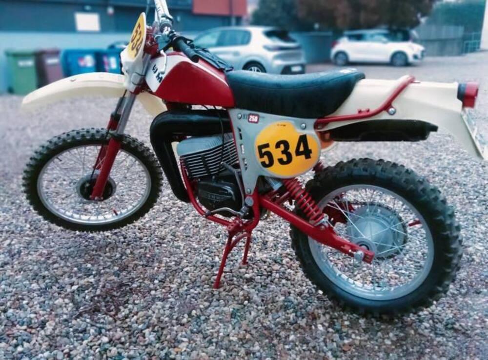 Swm GS 250 ENDURO (8)
