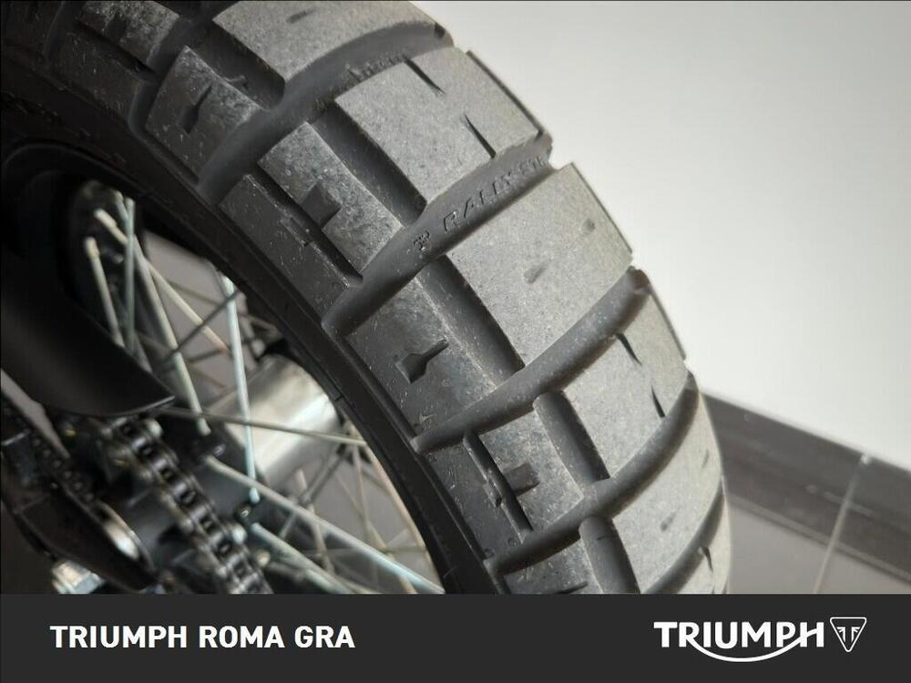 Fantic Motor Caballero 500 Scrambler (2025 - 26) (18)