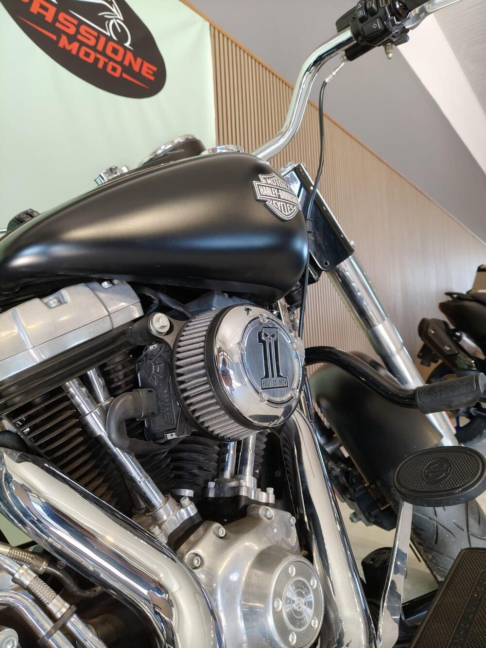 Harley-Davidson 1690 Slim (2017) - FLS (4)