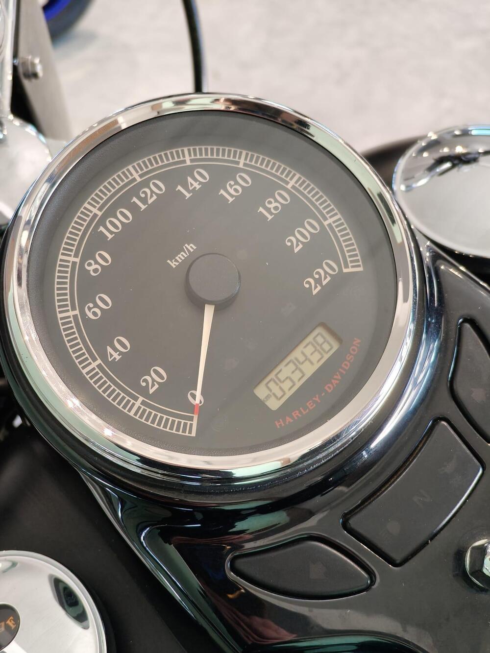 Harley-Davidson 1690 Slim (2017) - FLS (6)