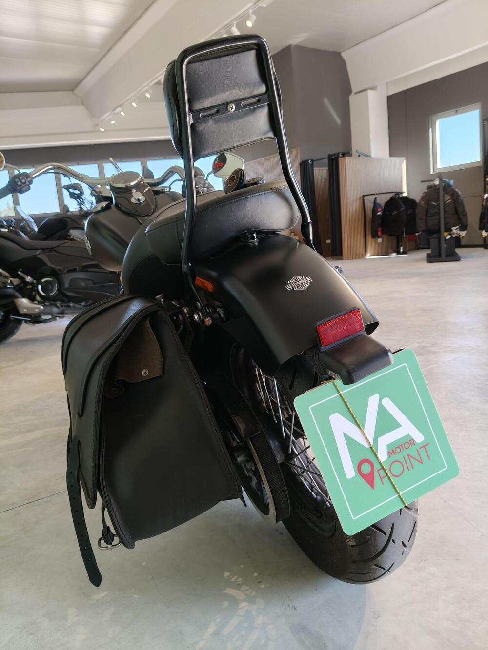 Harley-Davidson 1690 Slim (2017) - FLS (8)