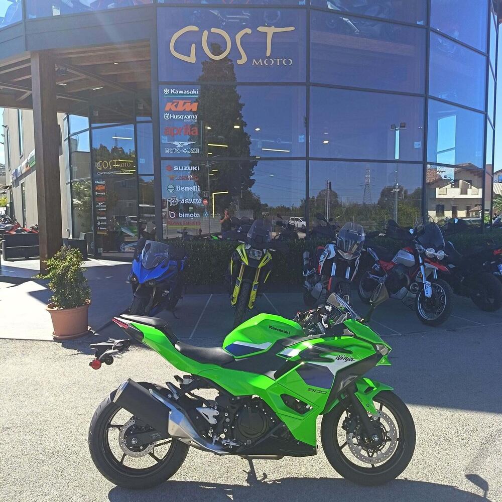 Kawasaki Ninja 500 SE (2024 - 26)