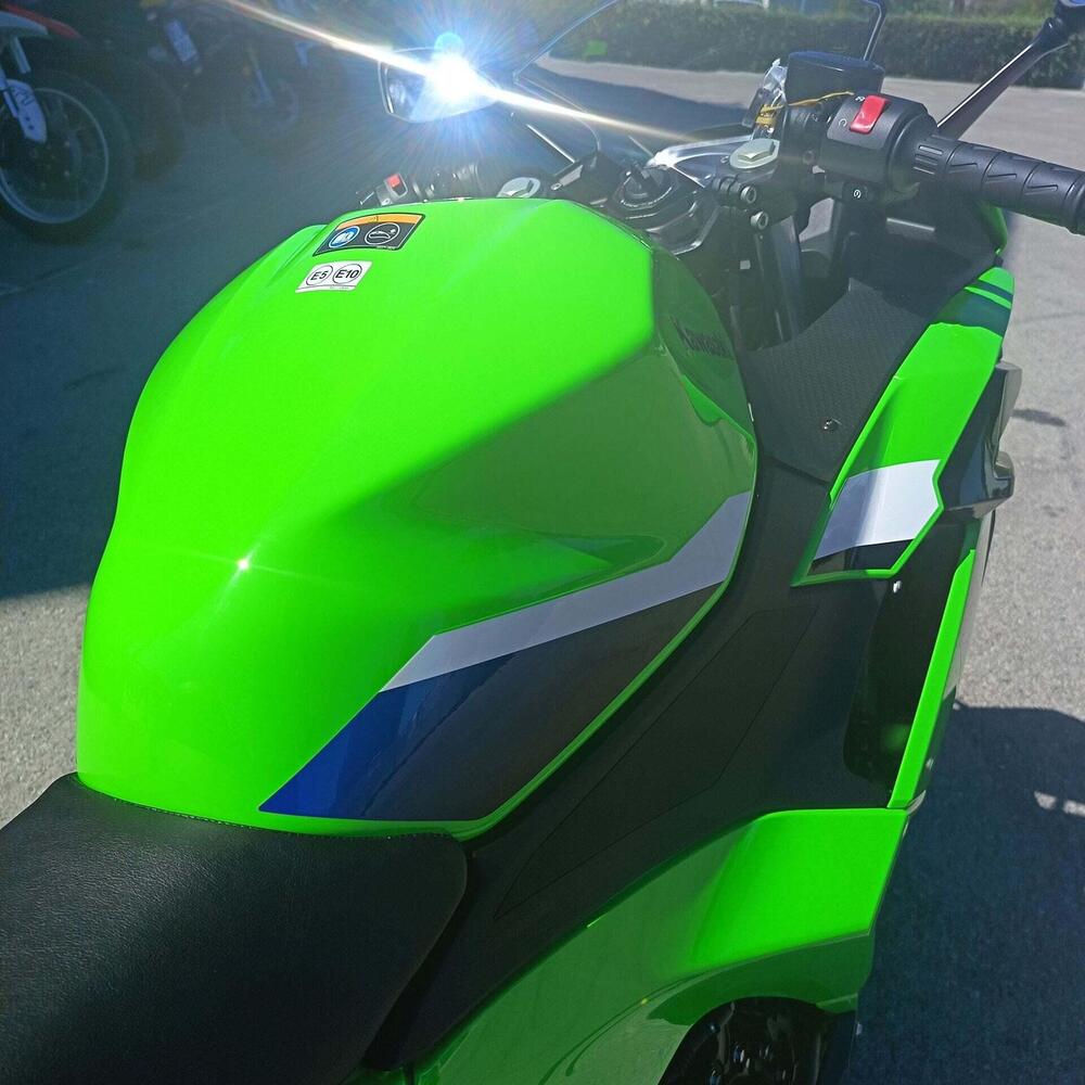 Kawasaki Ninja 500 SE (2024 - 26) (9)