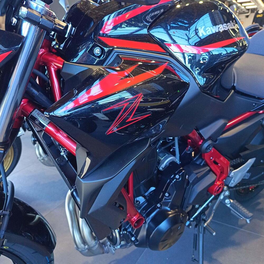Kawasaki Z 650 (2025 - 26) (3)