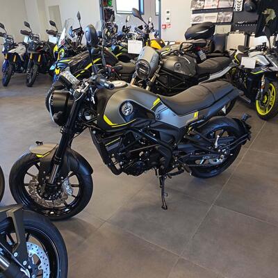 Benelli Leoncino 250 (2021 - 25) nuova