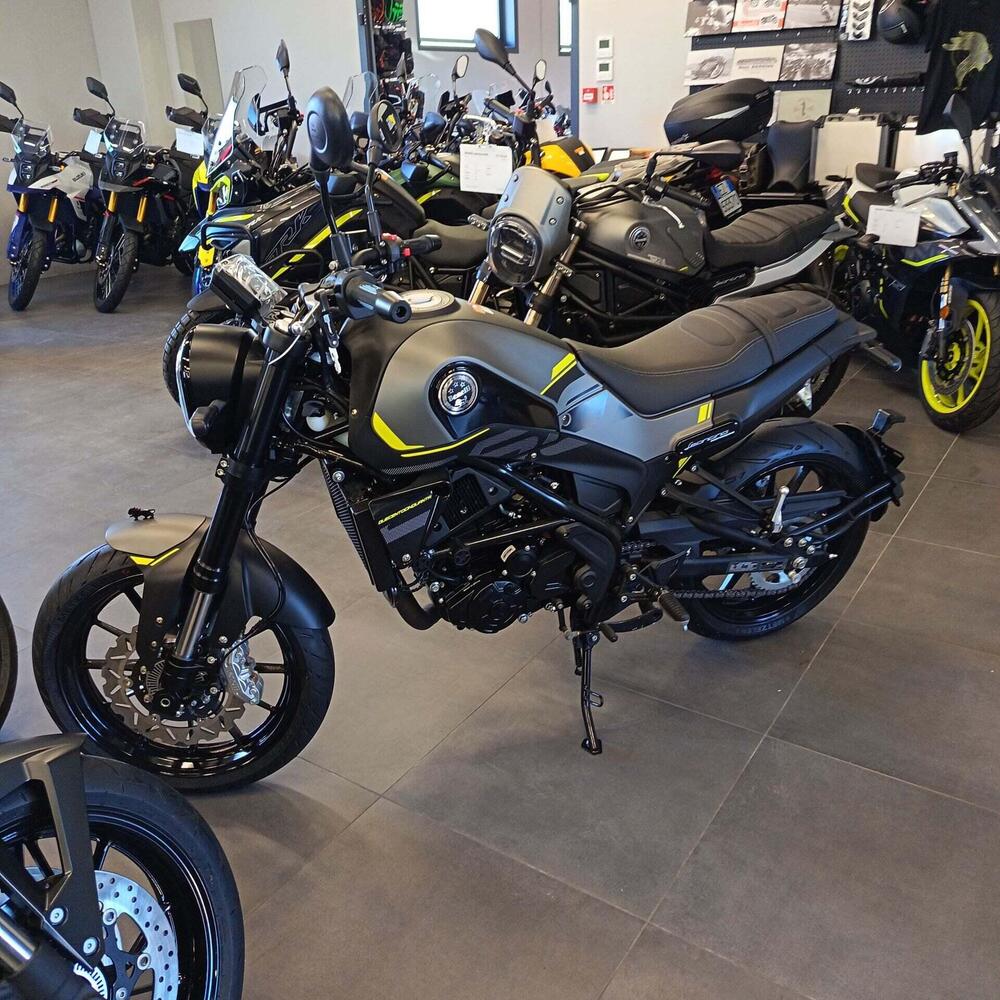 Benelli Leoncino 250 (2021 - 25)