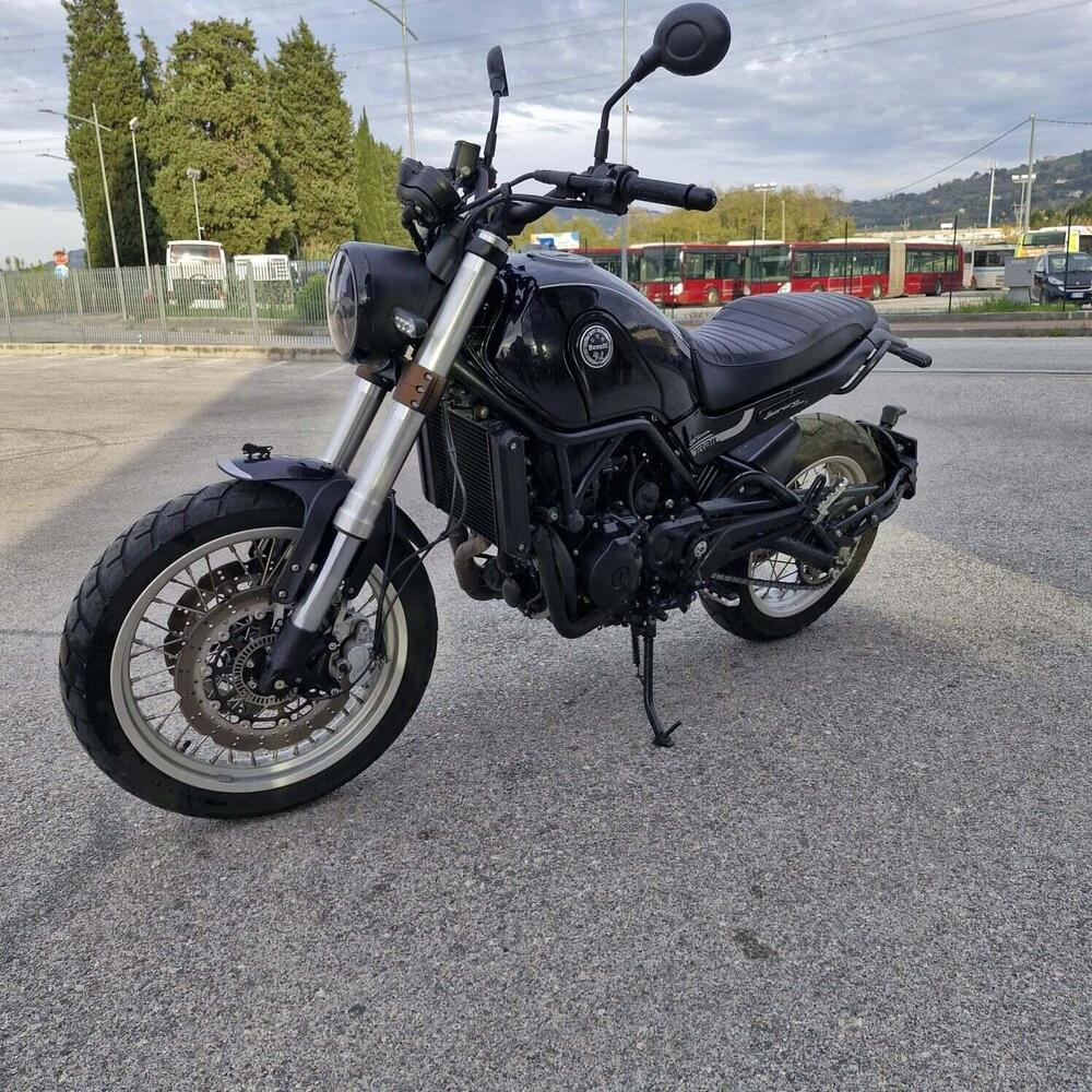 Benelli Leoncino 500 (2021 - 25) (4)