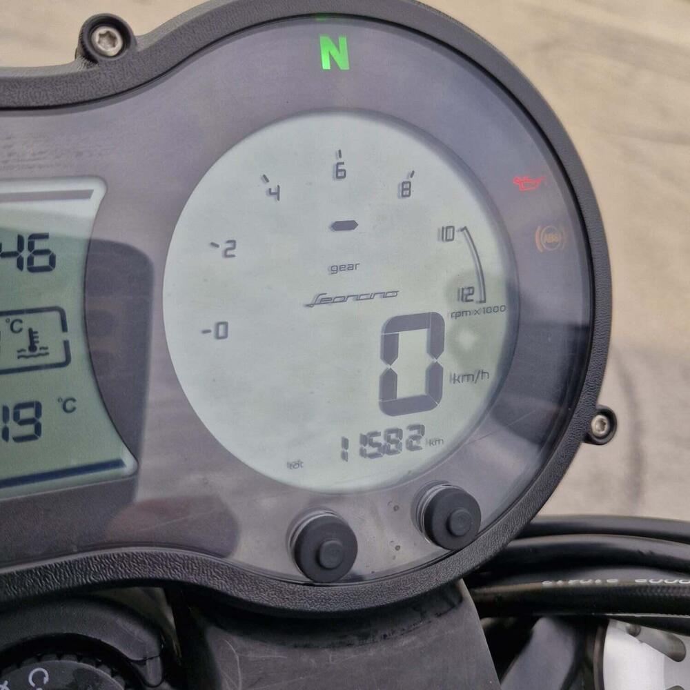 Benelli Leoncino 500 (2021 - 25) (7)