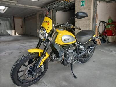 Ducati Scrambler 800 Icon (2015 - 16) usata