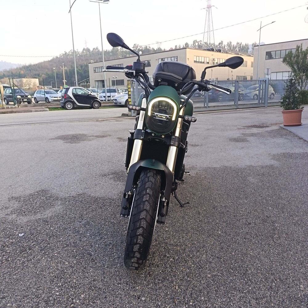 Benelli Leoncino 800 (2022 - 26) (6)