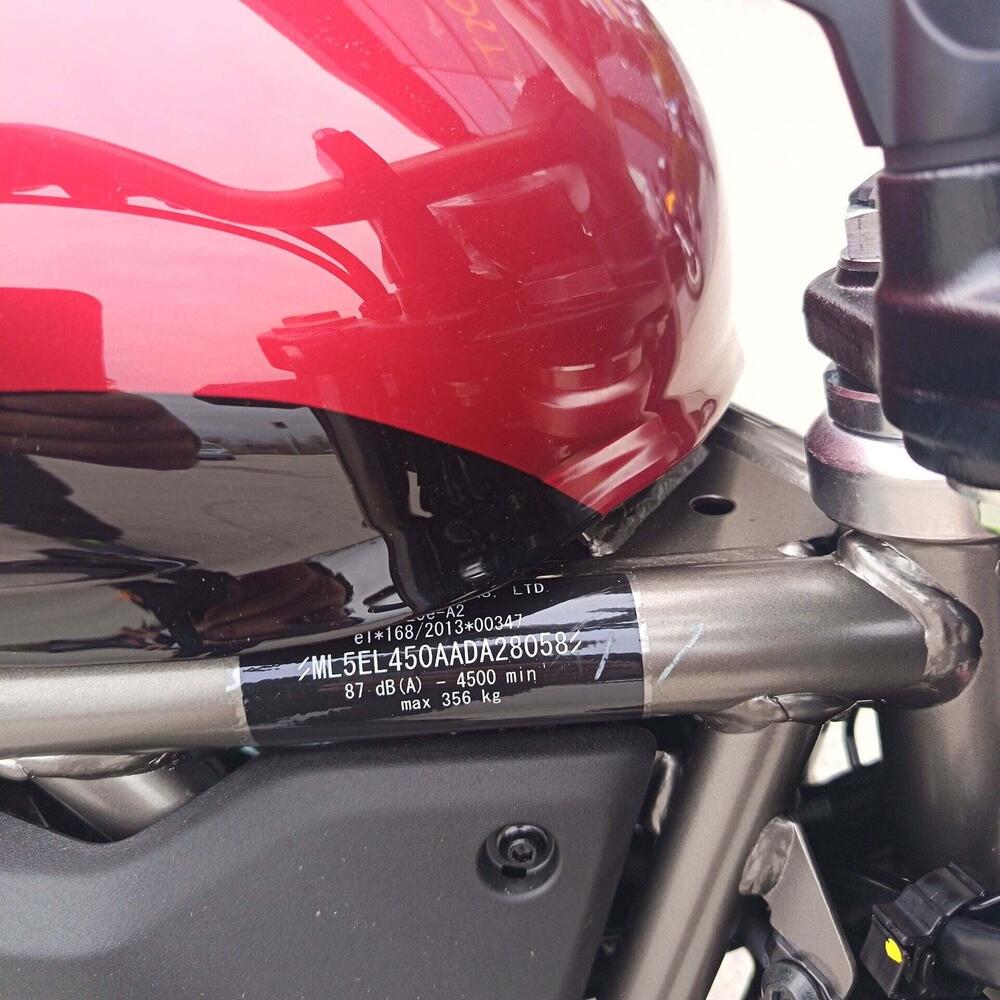 Kawasaki Eliminator 500 (2024 - 26) (3)