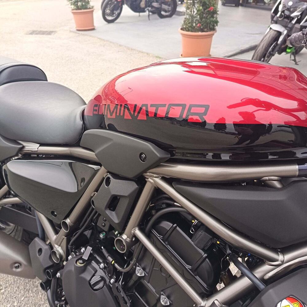 Kawasaki Eliminator 500 (2024 - 26) (4)