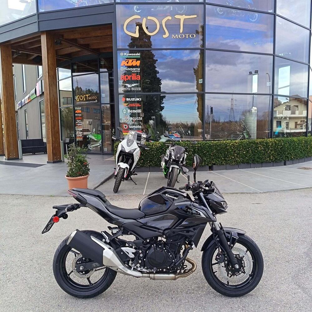 Kawasaki Z 500 (2024 - 26)