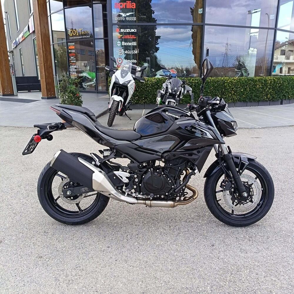Kawasaki Z 500 (2024 - 26) (2)