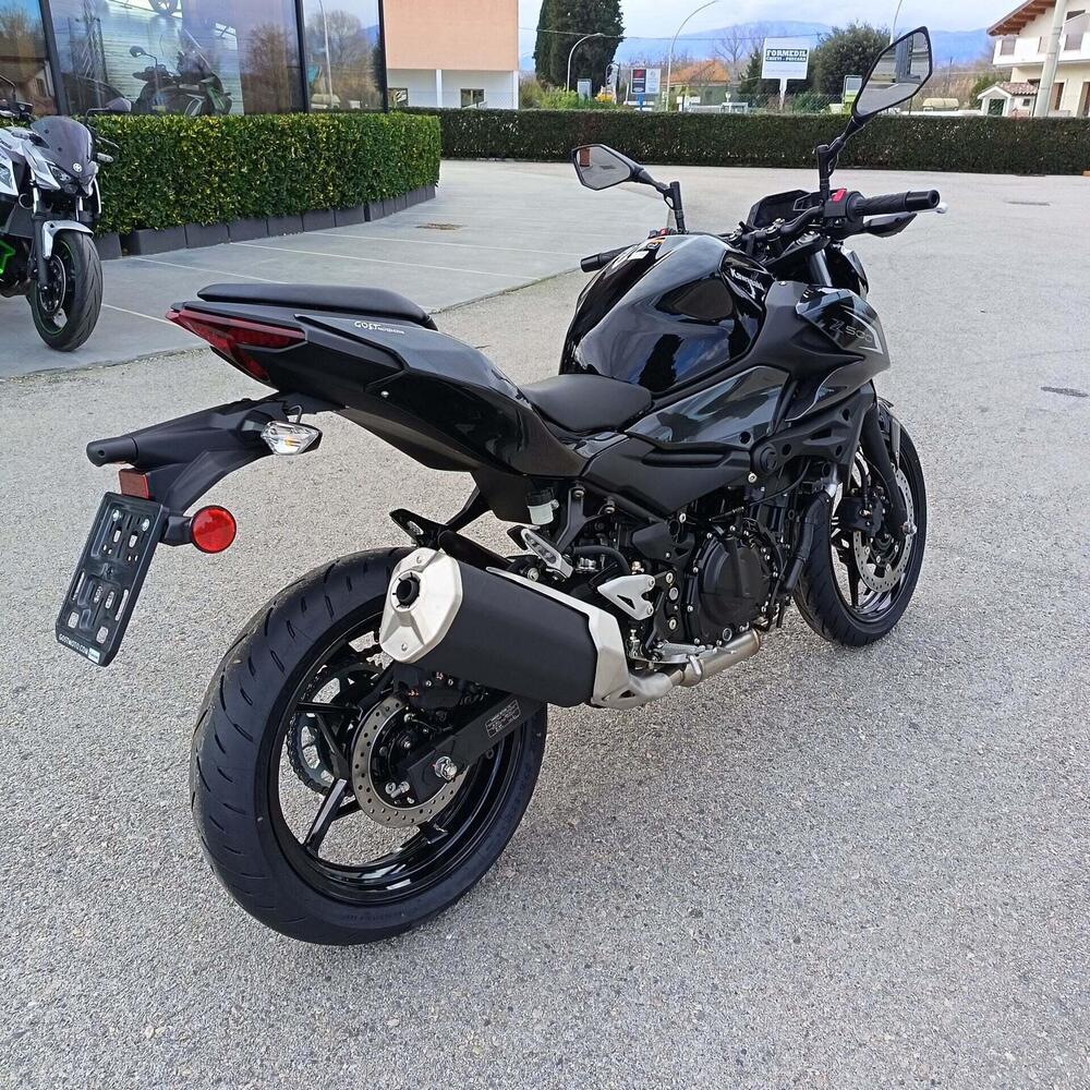 Kawasaki Z 500 (2024 - 26) (7)