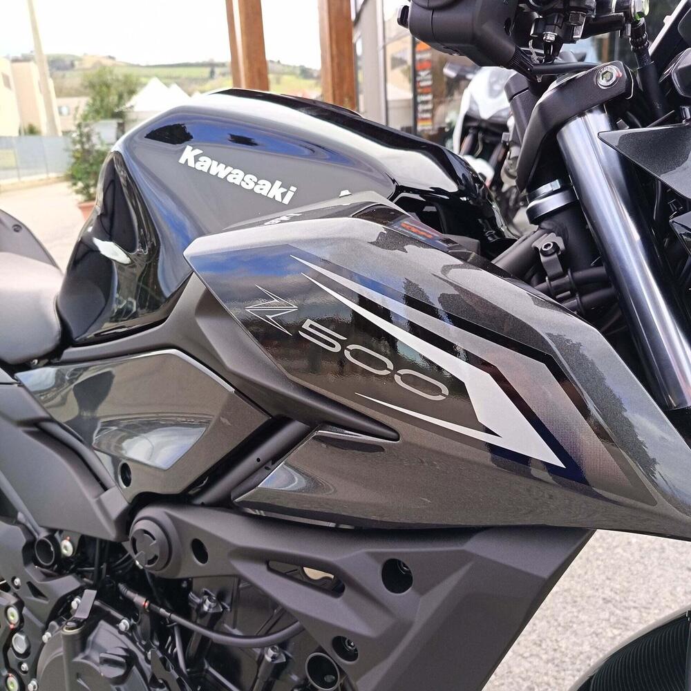 Kawasaki Z 500 (2024 - 26) (8)