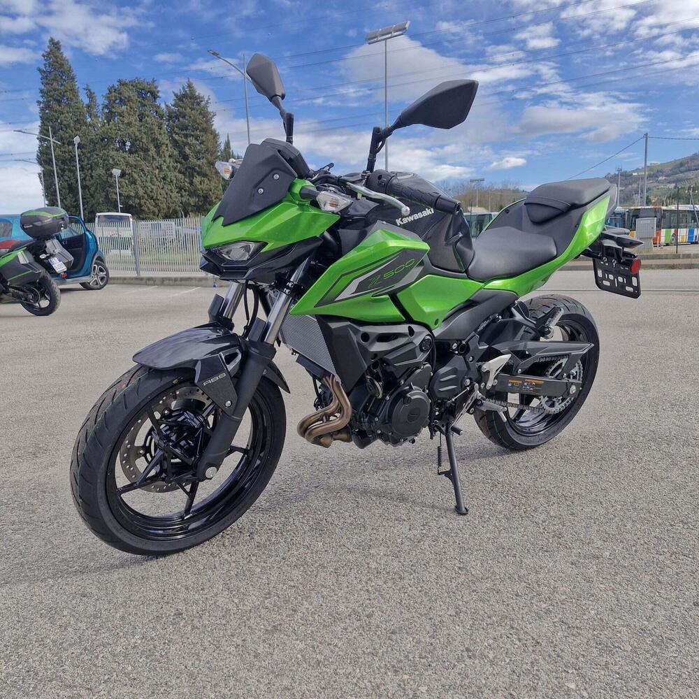 Kawasaki Z 500 (2024 - 26) (6)