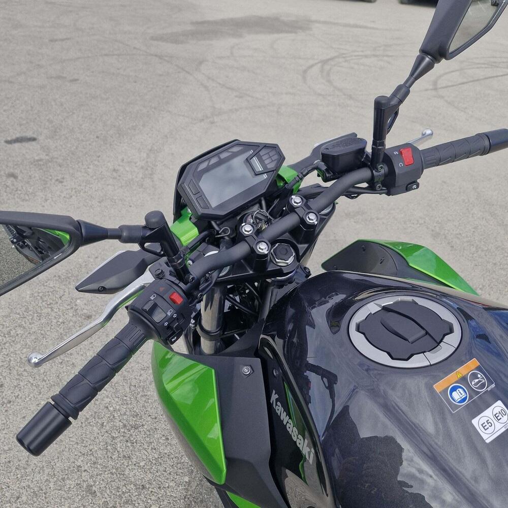 Kawasaki Z 500 (2024 - 26) (7)