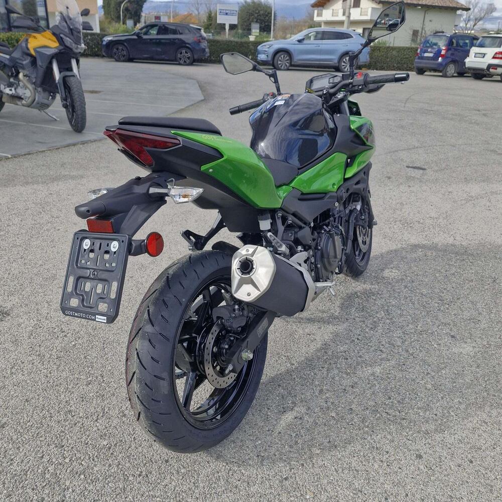 Kawasaki Z 500 (2024 - 26) (9)