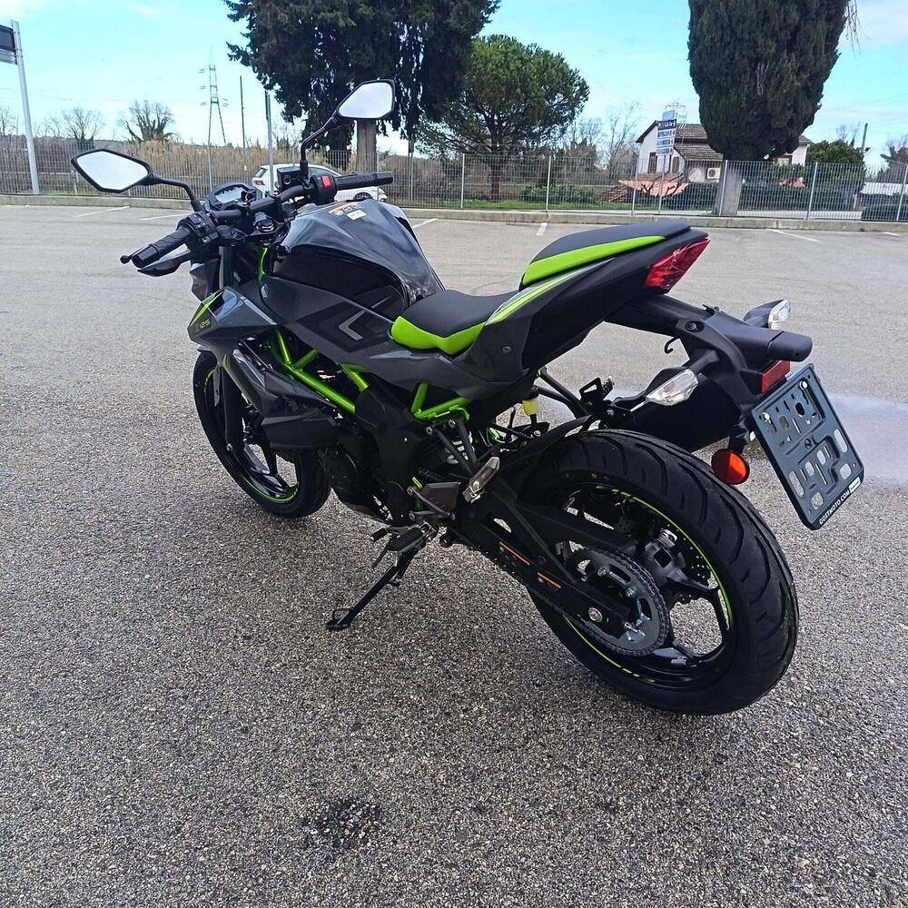 Kawasaki Z 125 (2025 - 26) (5)