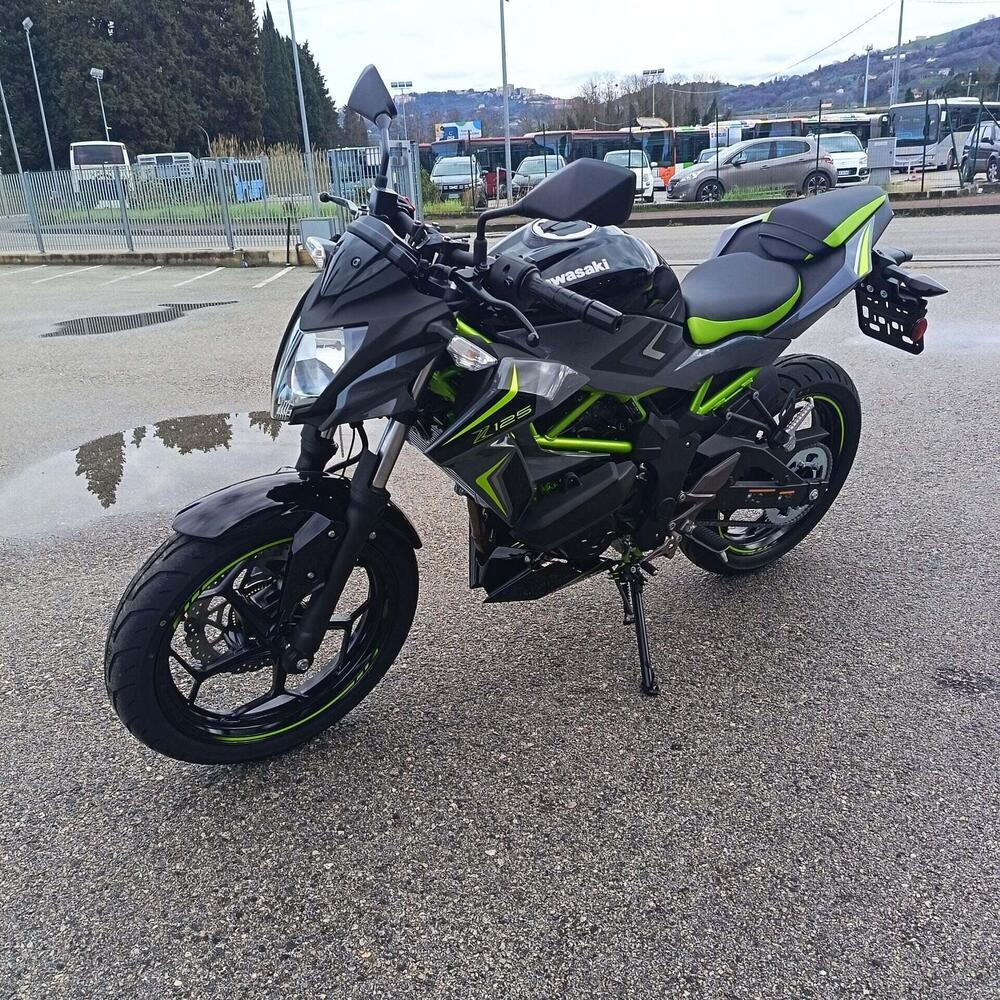 Kawasaki Z 125 (2025 - 26) (6)