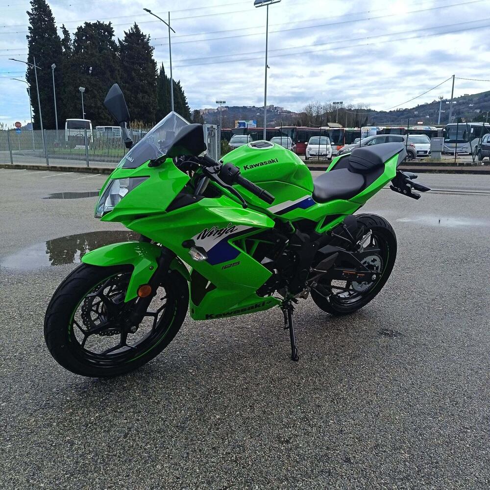 Kawasaki Ninja 125 (2025 - 26) (4)